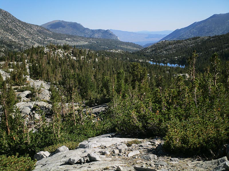 EasternBrookLks