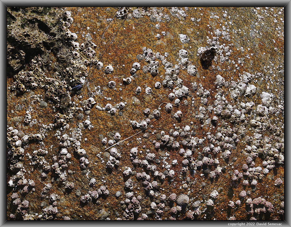 TN09121-39