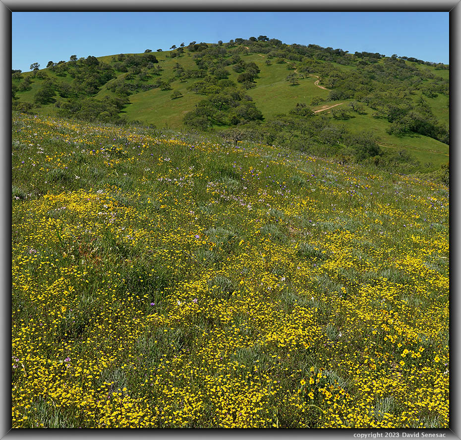 TZ09649-09673-2x1v