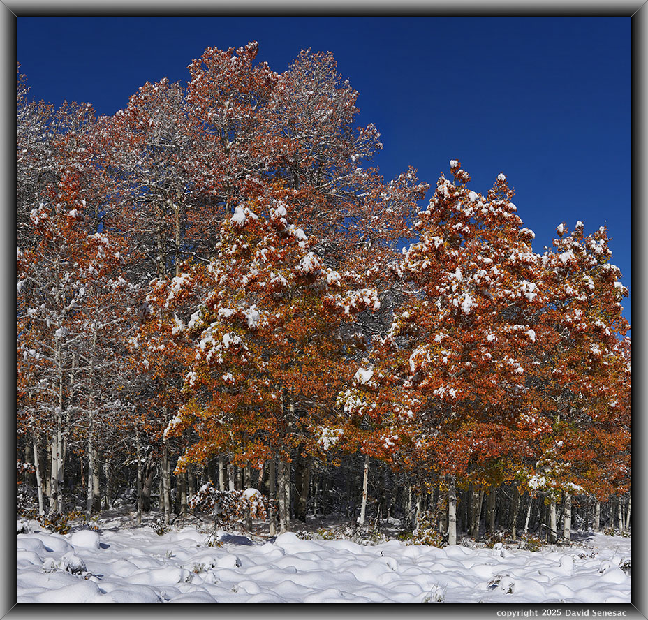 VA04256-04267-2x1v