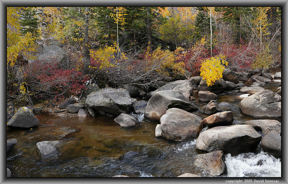 VA04820-4836-3x1v