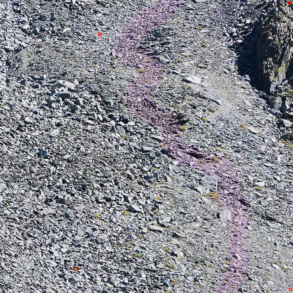 BurroPass3