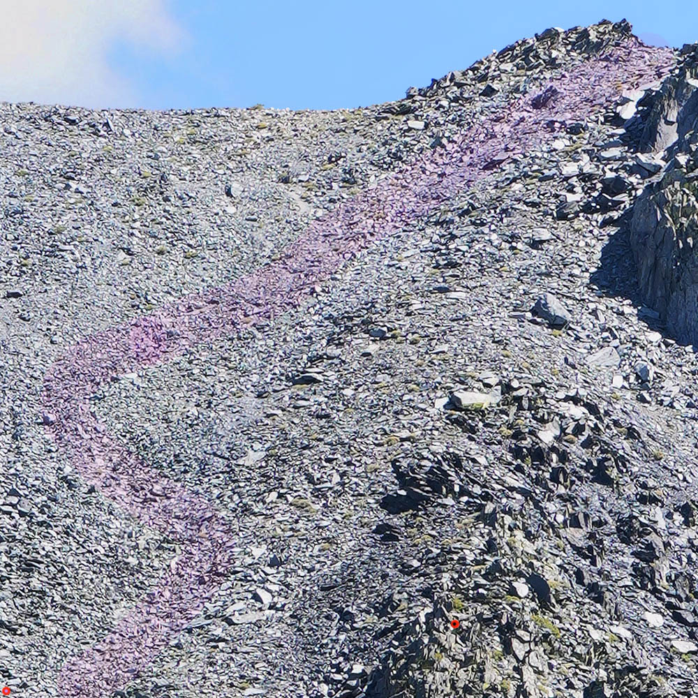 BurroPass4