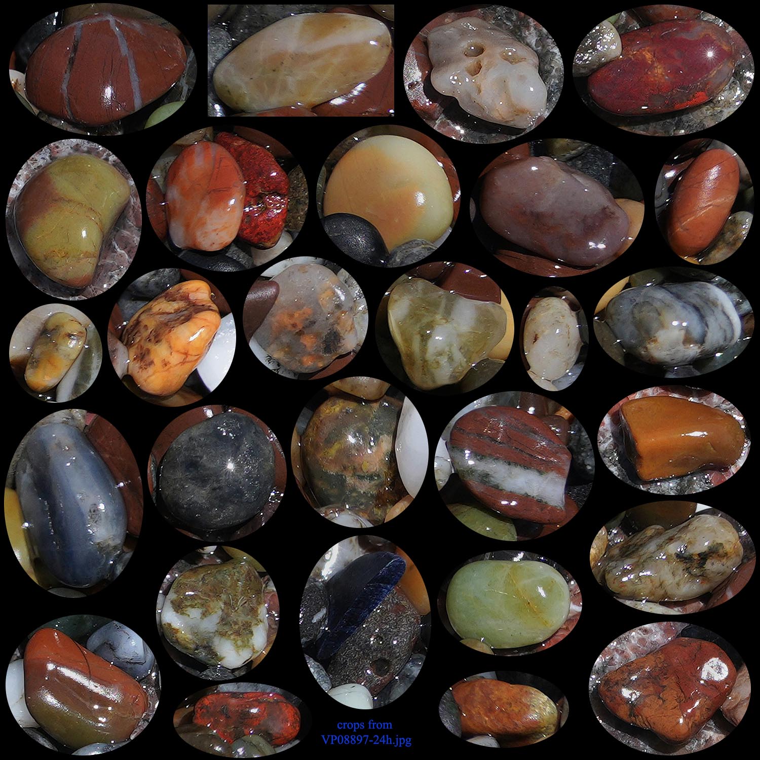 VP08897-24h-crops 67% crops from VP08897-24h.jpg. VP08897-24h-crops