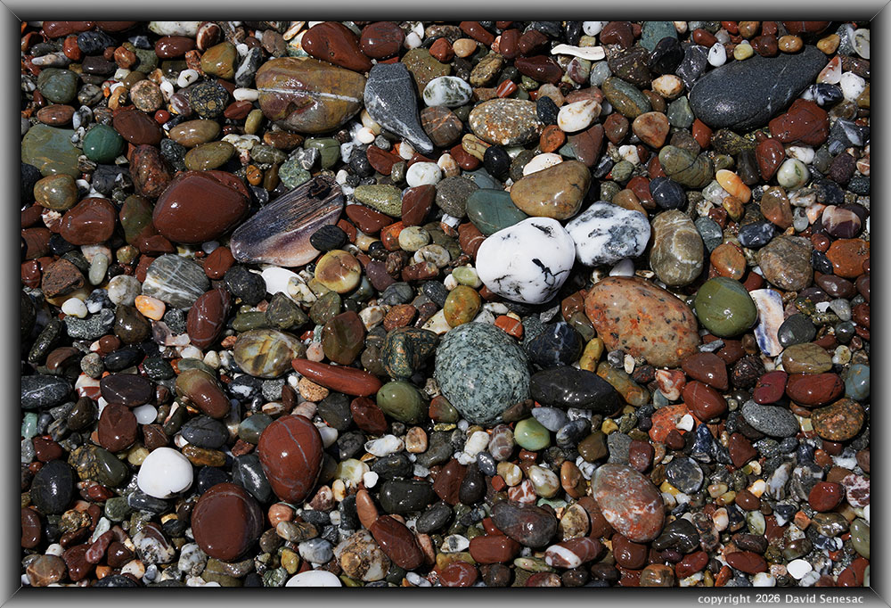 VQ08947-64h