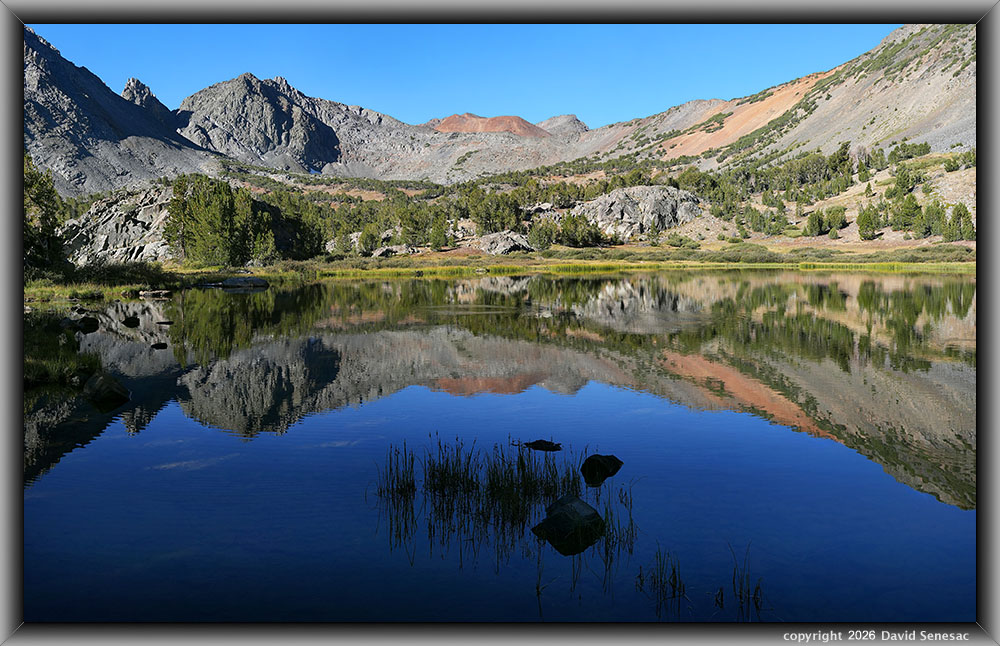 VT01133-01154-3x1v