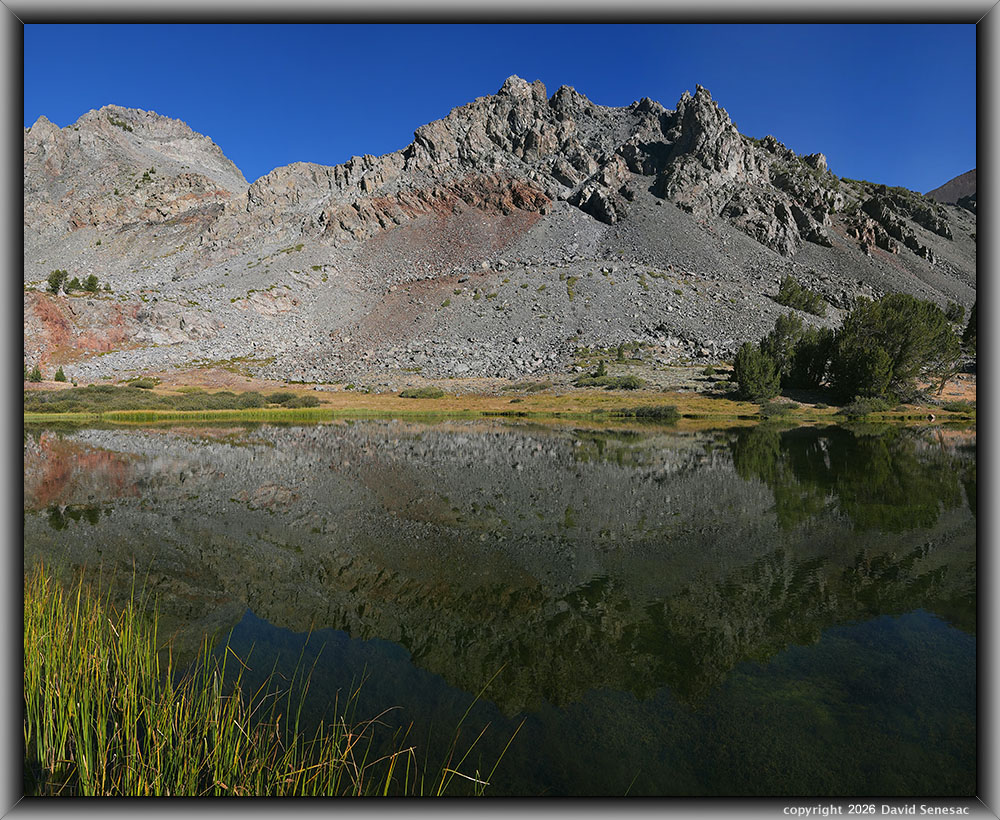 VT01203-01217-3x1v