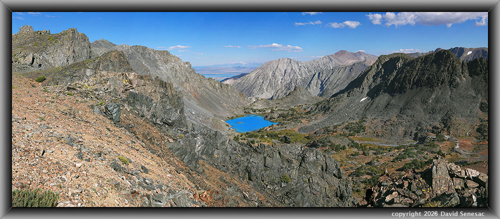 VT01266-01301-5x1v