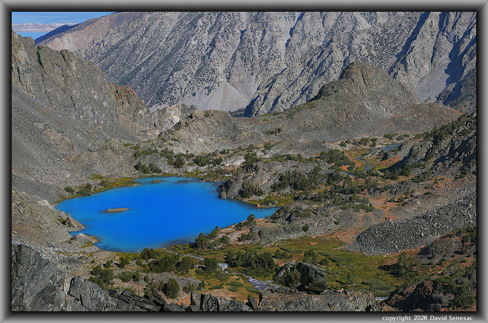 VT01324-01351-3x1v