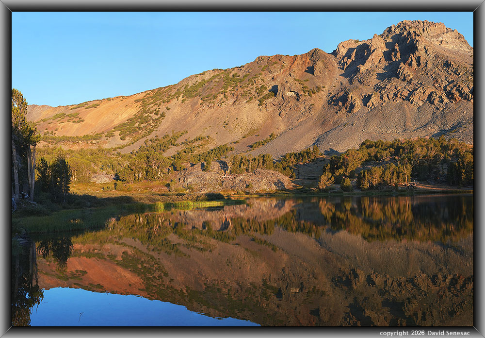 VT01394-01405-3x1v
