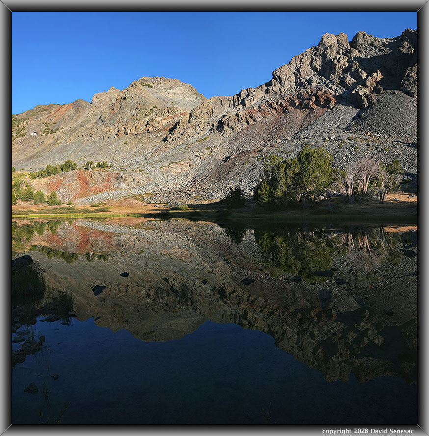VT01459-01466-2x1v
