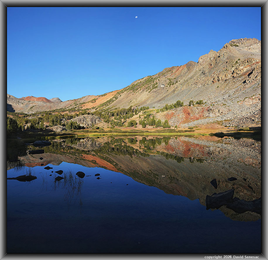 VT01467-01475-2x1v