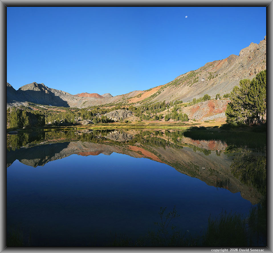 VT01476-01482-2x1v