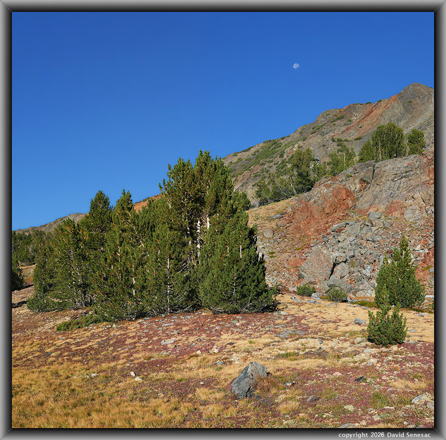 VT01509-01529-2x1v