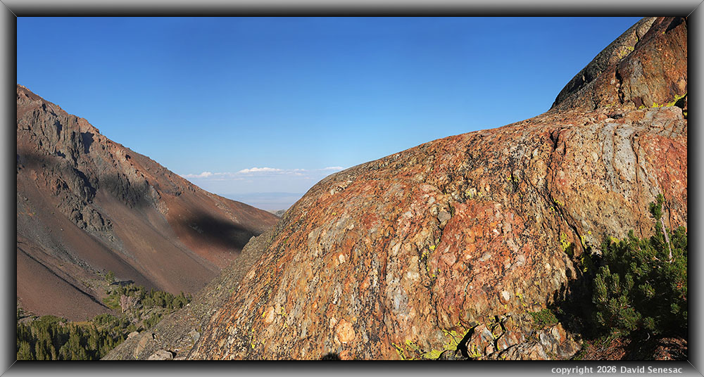 VT02485-02534-4x1v