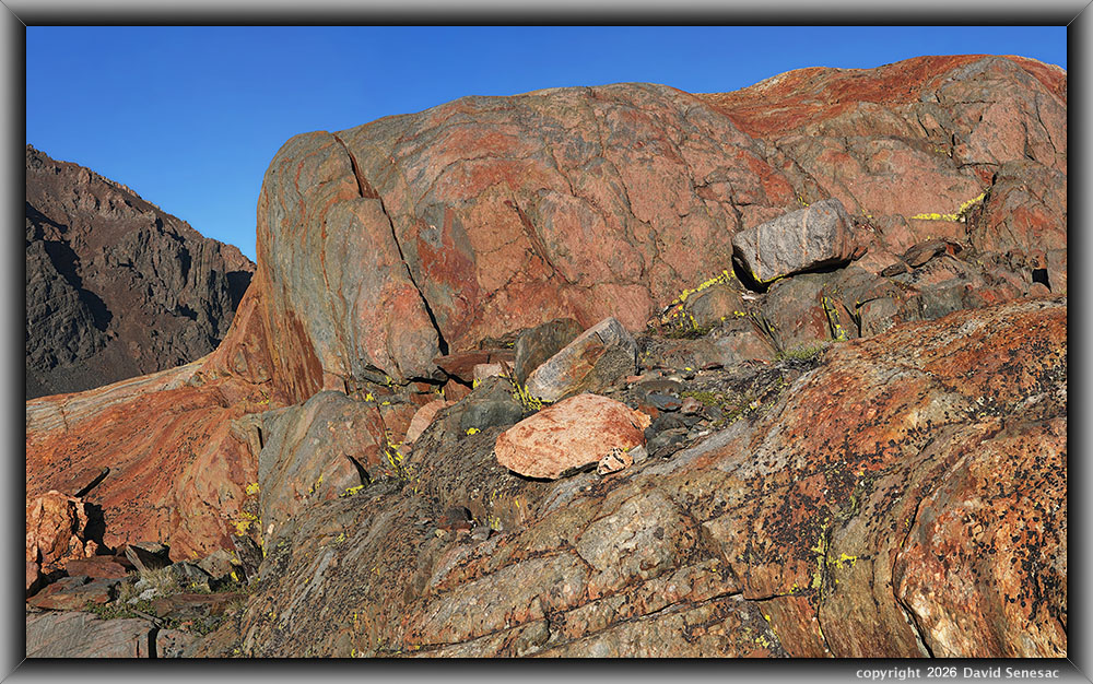 VT02566-02636-4x1v