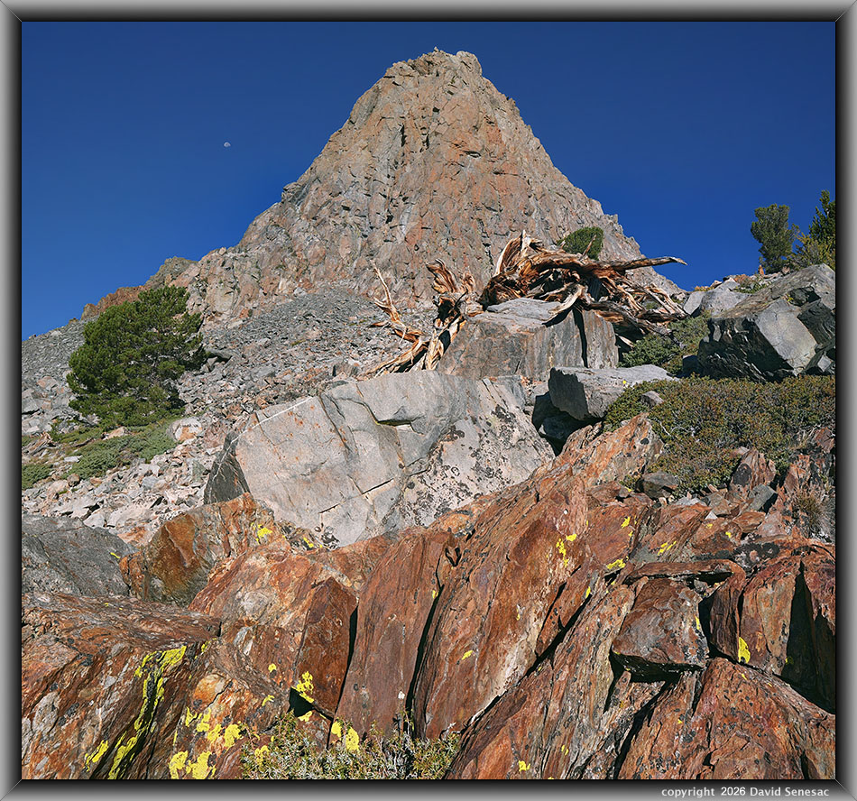 VT02681-02703-1x2h