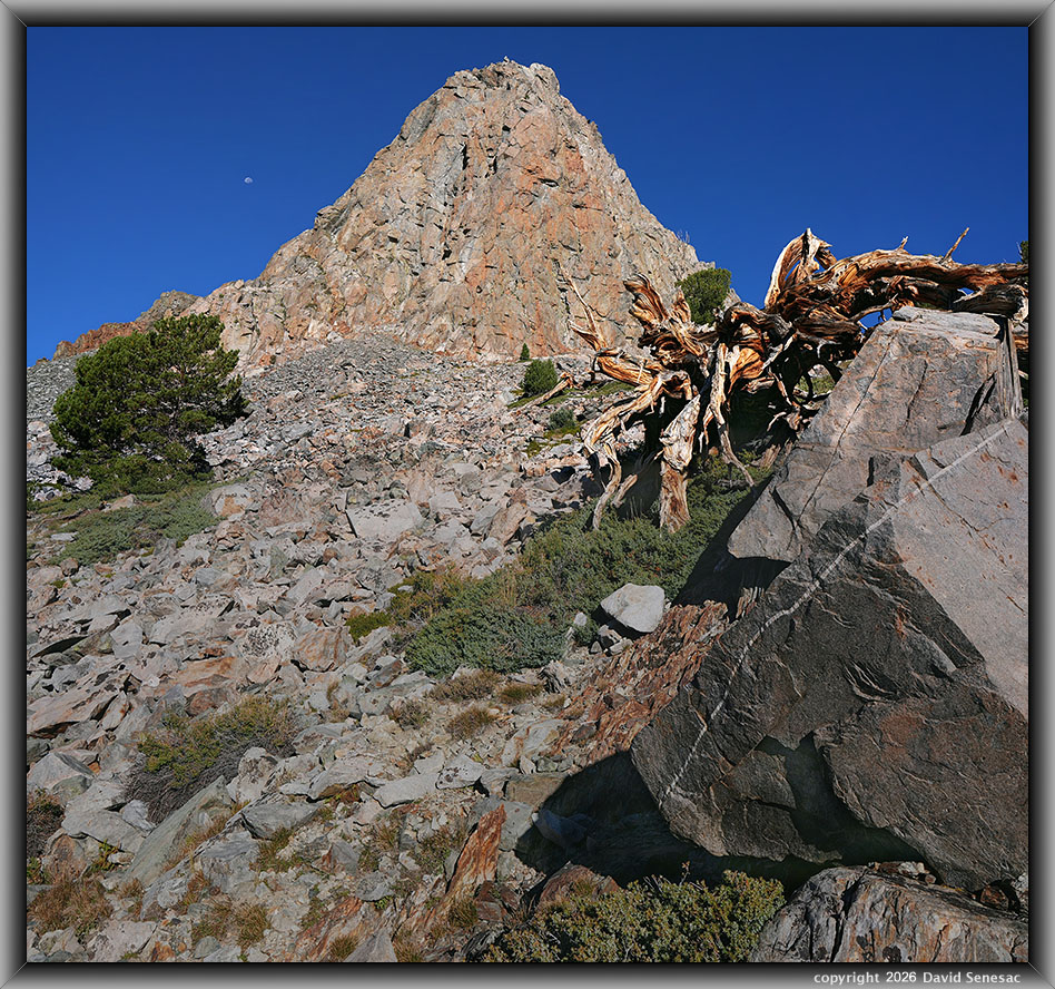 VT02704-02717-1x2h