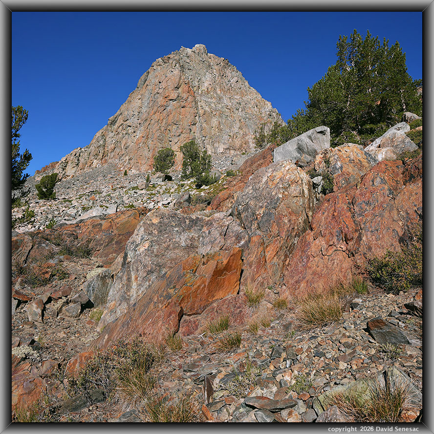 VT02718-02732-1x2h