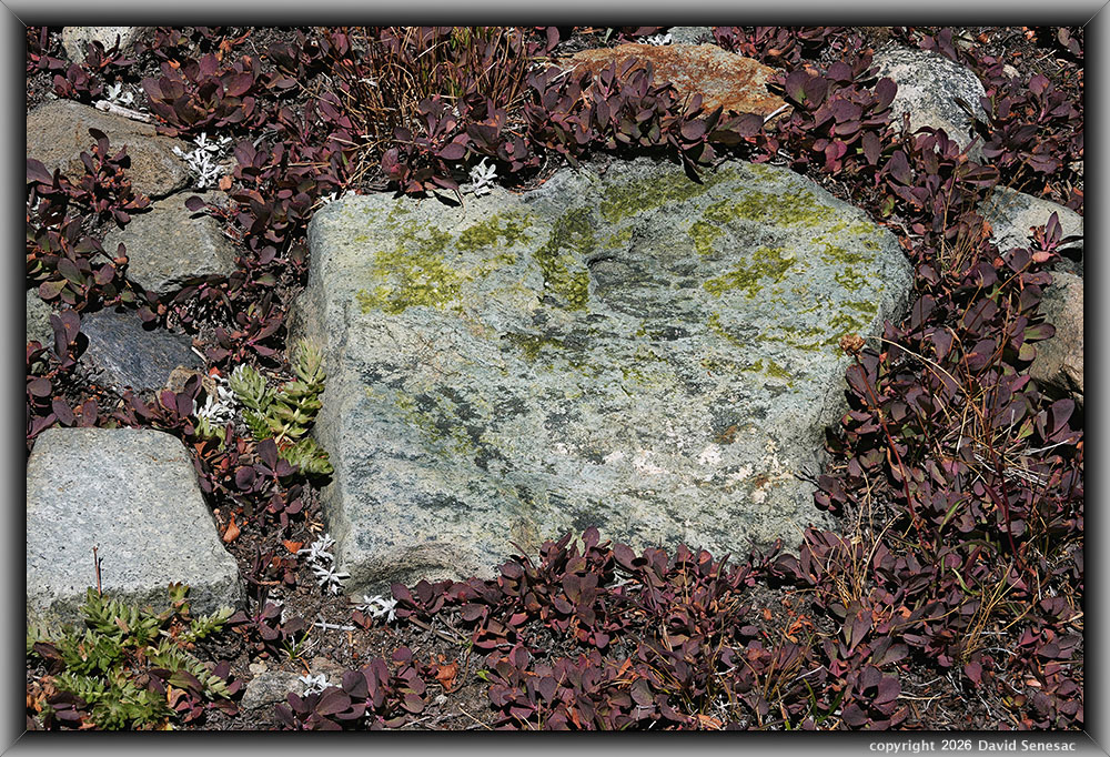 VT02857-96h