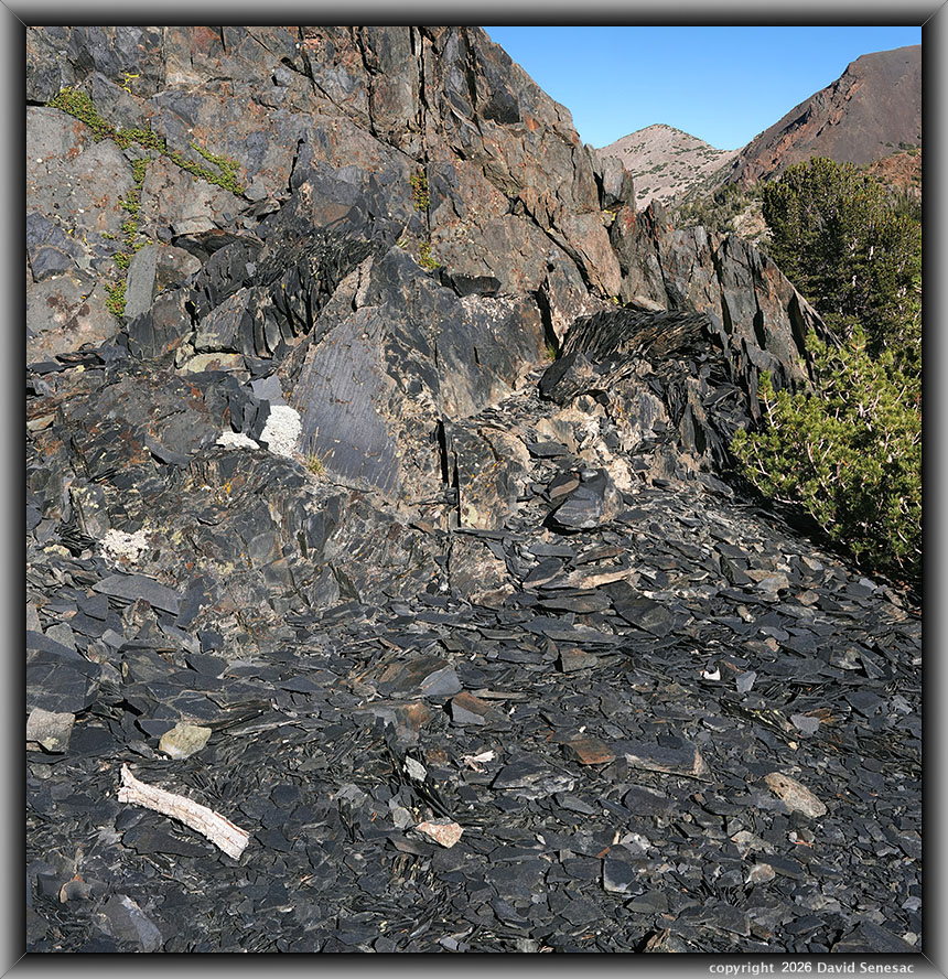 VT03031-03061-2x1v