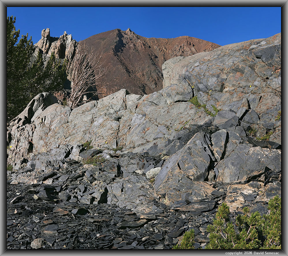 VT03064-03096-2x1v